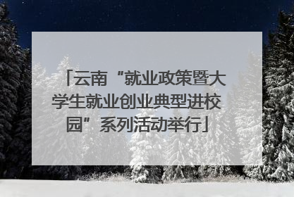 云南“就业政策暨大学生就业创业典型进校园”系列活动举行