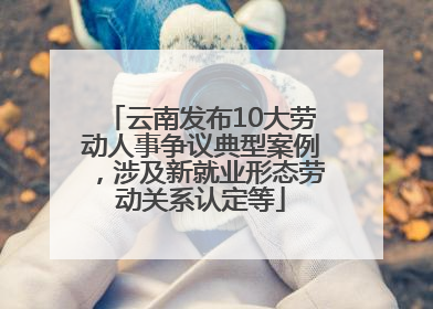 云南发布10大劳动人事争议典型案例，涉及新就业形态劳动关系认定等