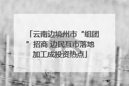 云南边境州市“组团”招商 边民互市落地加工成投资热点