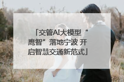 交管AI大模型“鹰智”落地宁波 开启智慧交通新范式