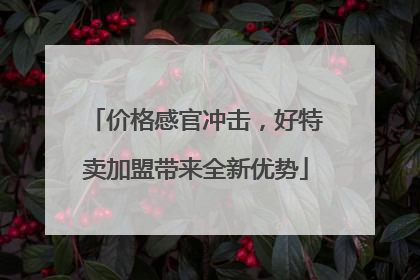 价格感官冲击，好特卖加盟带来全新优势