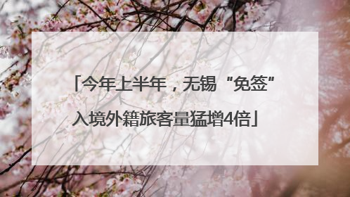 今年上半年，无锡“免签”入境外籍旅客量猛增4倍