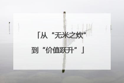 从“无米之炊”到“价值跃升”