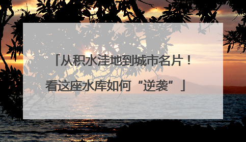 从积水洼地到城市名片！看这座水库如何“逆袭”