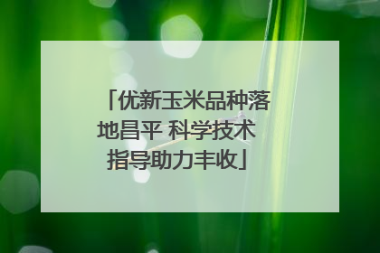优新玉米品种落地昌平 科学技术指导助力丰收