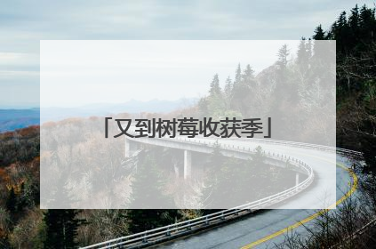 又到树莓收获季