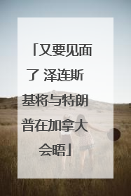 又要见面了 泽连斯基将与特朗普在加拿大会晤