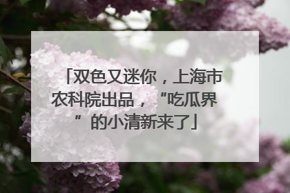 双色又迷你，上海市农科院出品，“吃瓜界”的小清新来了