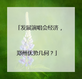 发展演唱会经济，郑州优势几何？