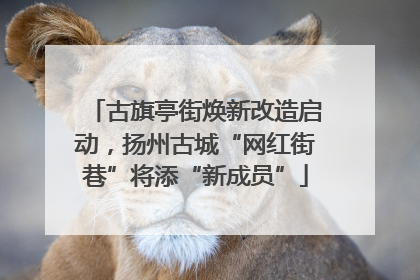 古旗亭街焕新改造启动，扬州古城“网红街巷”将添“新成员”