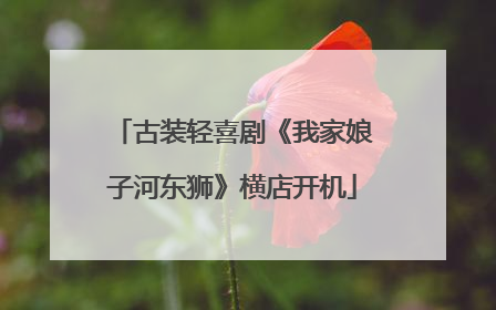 古装轻喜剧《我家娘子河东狮》横店开机