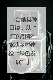 台前县孙口镇：以“红色引擎”驱动乡村建设“绿色发展”