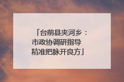 台前县夹河乡：市政协调研指导 精准把脉开良方