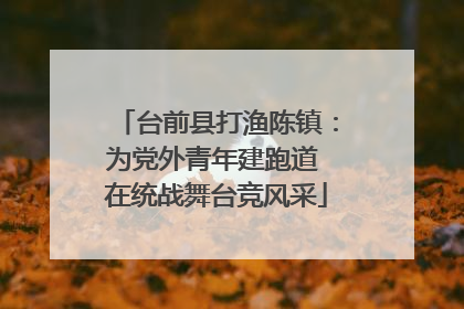 台前县打渔陈镇：为党外青年建跑道 在统战舞台竞风采