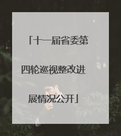 十一届省委第四轮巡视整改进展情况公开