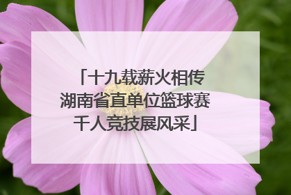 十九载薪火相传 湖南省直单位篮球赛千人竞技展风采