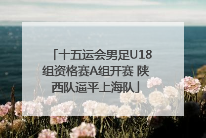 十五运会男足U18组资格赛A组开赛 陕西队逼平上海队