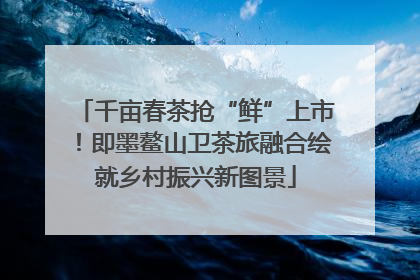 千亩春茶抢“鲜”上市！即墨鳌山卫茶旅融合绘就乡村振兴新图景