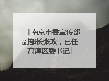南京市委宣传部副部长张政，已任高淳区委书记