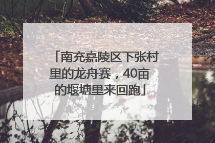 南充嘉陵区下张村里的龙舟赛，40亩的堰塘里来回跑