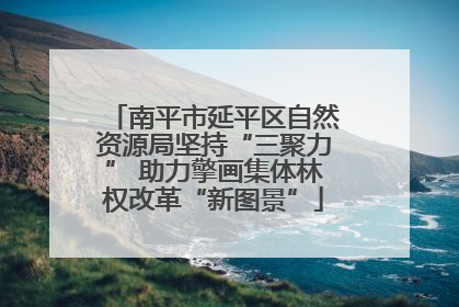 南平市延平区自然资源局坚持“三聚力” 助力擎画集体林权改革“新图景”