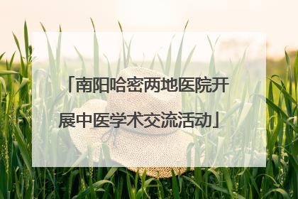 南阳哈密两地医院开展中医学术交流活动