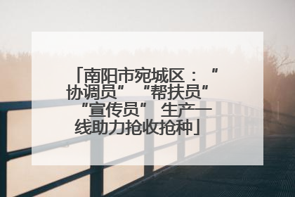 南阳市宛城区：“协调员”“帮扶员”“宣传员” 生产一线助力抢收抢种