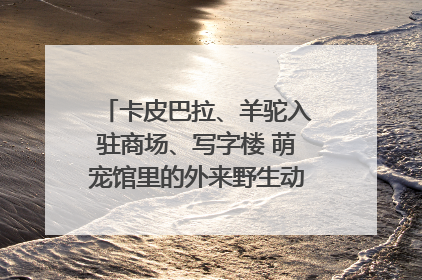 卡皮巴拉、羊驼入驻商场、写字楼 萌宠馆里的外来野生动物暗藏哪些隐患？