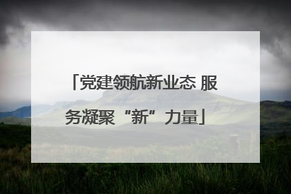 党建领航新业态 服务凝聚“新”力量