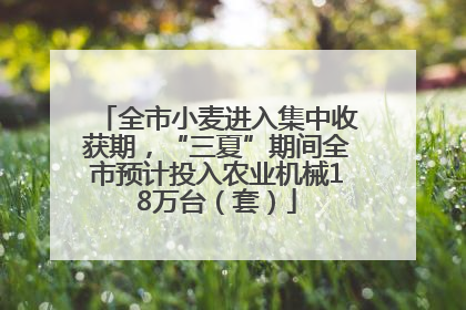 全市小麦进入集中收获期，“三夏”期间全市预计投入农业机械18万台（套）