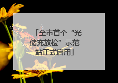 全市首个“光储充放检”示范站正式启用