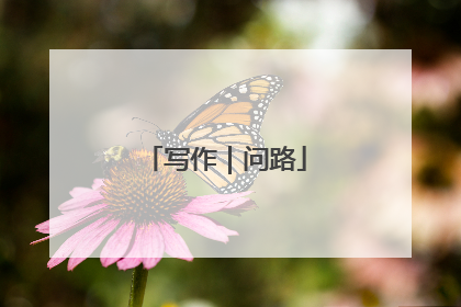 写作｜问路