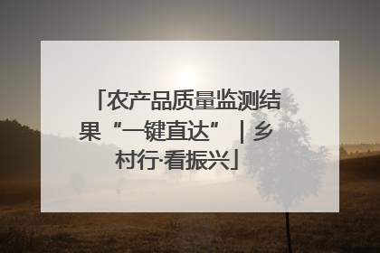 农产品质量监测结果“一键直达”｜乡村行·看振兴
