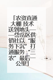 农资直通大棚 技术送到地头——岱岳区供销社以“服务下沉”打通服务“三农”最后一公里
