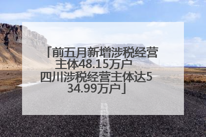 前五月新增涉税经营主体48.15万户 四川涉税经营主体达534.99万户