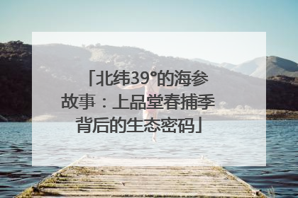 北纬39°的海参故事：上品堂春捕季背后的生态密码