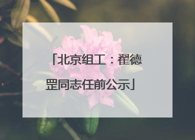 北京组工：翟德罡同志任前公示