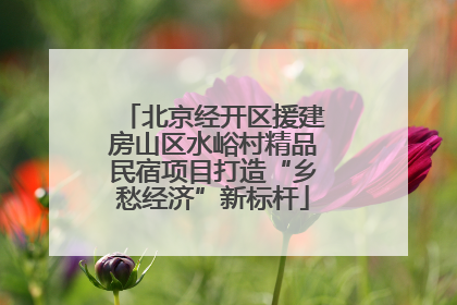 北京经开区援建房山区水峪村精品民宿项目打造“乡愁经济”新标杆