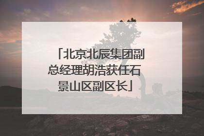 北京北辰集团副总经理胡浩获任石景山区副区长