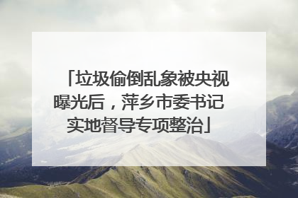 垃圾偷倒乱象被央视曝光后，萍乡市委书记实地督导专项整治