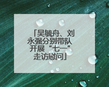 吴毓舟、刘永强分别带队开展“七一”走访慰问