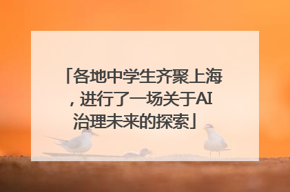 各地中学生齐聚上海，进行了一场关于AI治理未来的探索