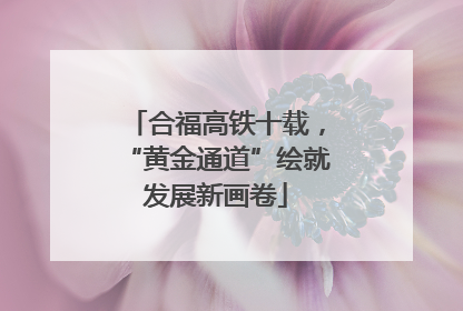 合福高铁十载，“黄金通道”绘就发展新画卷