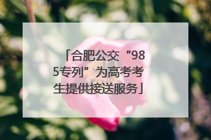 合肥公交“985专列”为高考考生提供接送服务
