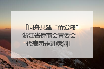 同舟共建“侨爱岛” 浙江省侨商会青委会代表团走进嵊泗