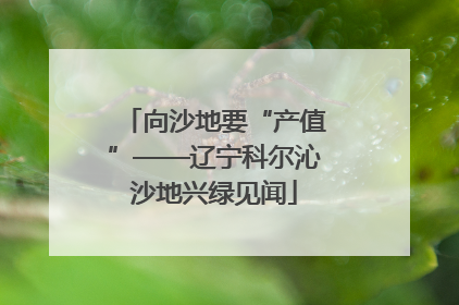 向沙地要“产值”——辽宁科尔沁沙地兴绿见闻