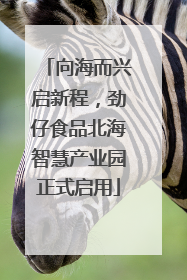 向海而兴启新程，劲仔食品北海智慧产业园正式启用