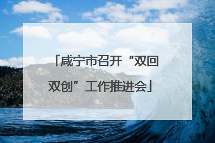 咸宁市召开“双回双创”工作推进会