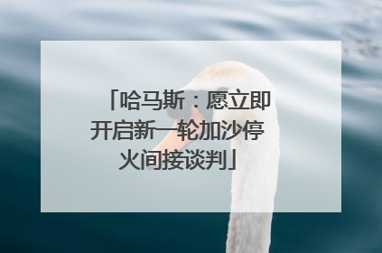 哈马斯：愿立即开启新一轮加沙停火间接谈判