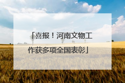 喜报！河南文物工作获多项全国表彰